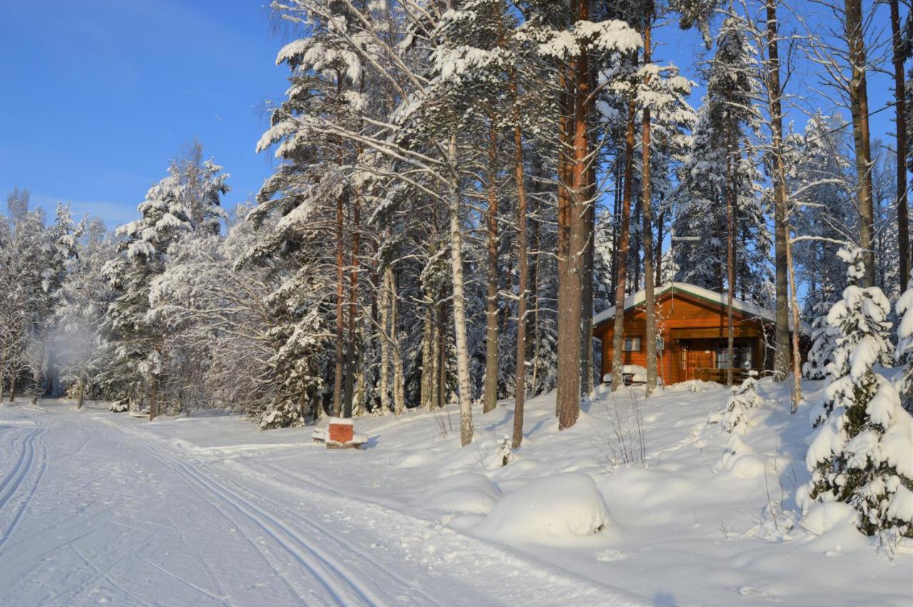 Rinnepelto Holiday Cottages تاكوفوري المظهر الخارجي الصورة