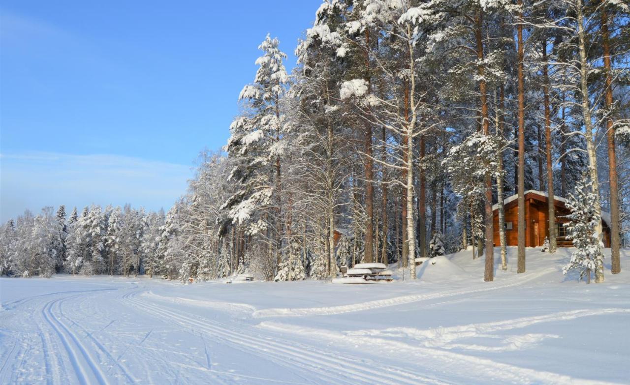 Rinnepelto Holiday Cottages تاكوفوري المظهر الخارجي الصورة